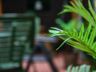 Casa per le vacanze Sögel Registrazione all'aperto 8