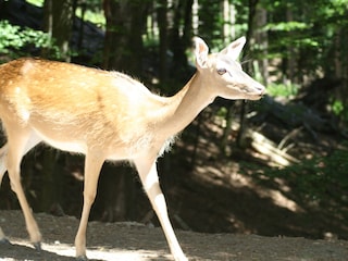 Natur hautnah