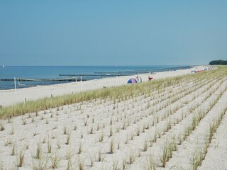 Maison de vacances Zingst Environnement 17