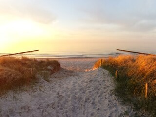 Vakantiehuis Zingst Omgeving 24