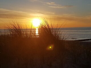 Vakantiehuis Zingst Omgeving 25