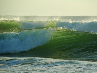 Casa de vacaciones Zingst Entorno 30