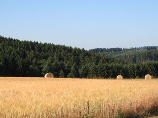 so schön ist der sommer