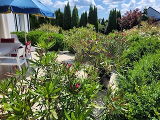 Apartment Grzybowo Außenaufnahme 11