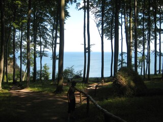 30 Min. von der Ferienwohnung entfernt: Weltnaturerbe