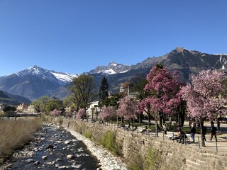 Appartamento per vacanze Schenna Ambiente 23