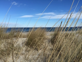 Dünung der Ostsee