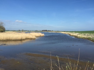 Blick vom Fehaus auf das Wasser