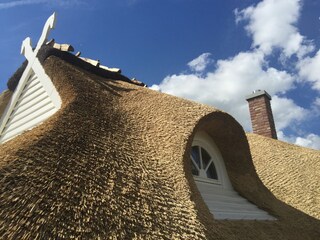 Casa de vacaciones Mellnitz Grabación al aire libre 5