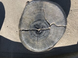 Casa per le vacanze Mellnitz Ambiente 34