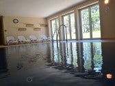 Wellnessbereich mit Pool