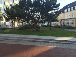 Blick auf den "wohnungseigenen" Onnen Visser Park