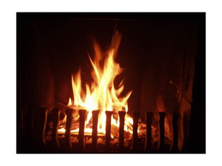 Casa per le vacanze Julianadorp Caratteristiche 19