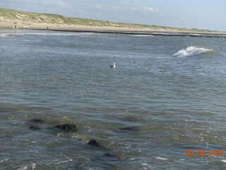 Casa per le vacanze Julianadorp Ambiente 23