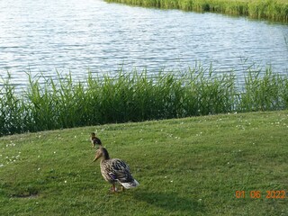 Casa per le vacanze Julianadorp Ambiente 30