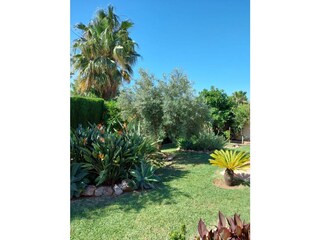 Casa per le vacanze Beniarbeig Registrazione all'aperto 9