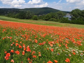 Ferienhaus Vöhl Umgebung 19