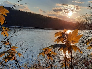 Ferienhaus Vöhl Umgebung 21