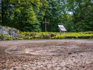 Vakantiehuis Sögel Omgeving 13