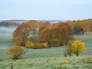 Umgebung