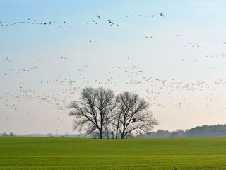 Nachbarfeld