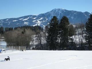 Der Grünten von Luitharz aus