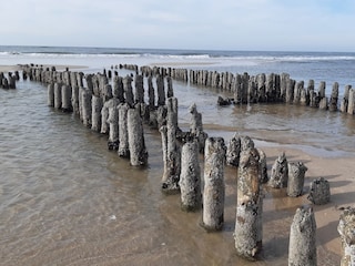 Buhnenreste bei Rantum