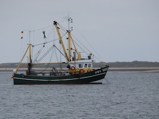 Hafen in List: das Meer auf einer Bootstour entdecken
