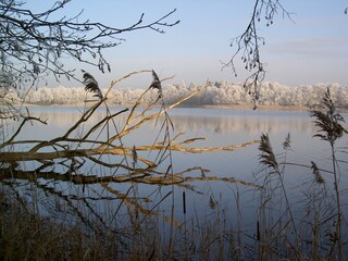 Casa per le vacanze Groß Nemerow Ambiente 10