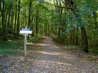 Vakantiehuis Groß Nemerow  14