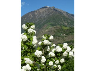 Appartement de vacances Naturns Enregistrement extérieur 3