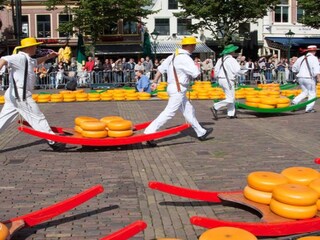 Casa per le vacanze Bergen (Holland)  22