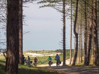 Casa per le vacanze Bergen (Holland)  19