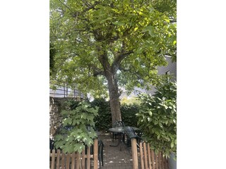 Grillplatz unterm Nussbaum