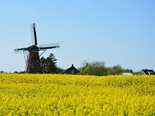 Vakantiehuis Cadzand-Bad Omgeving 25