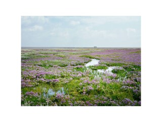 Wundervolle Natur Foto: Shutterstock/Fotografie-Kuhlman