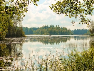 Blick auf den See vom Haus Sjövillan