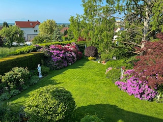 Der Garten im Frühling