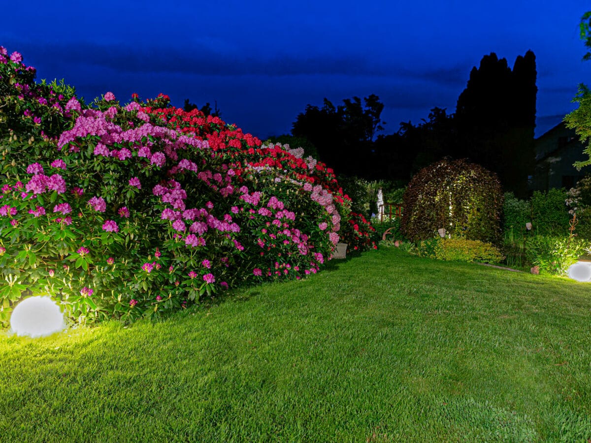 der Garten bei Nacht