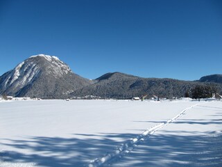 Appartamento per vacanze Leutasch Documento 31