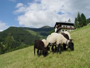 Ferienhaus Berghaus Zillertal Hart - Hart - image1