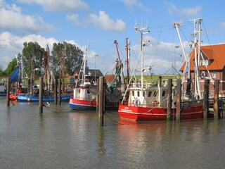 Holiday apartment Fedderwardersiel Environment 45