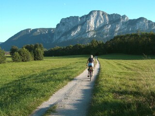 Appartamento per vacanze Mondsee Ambiente 24