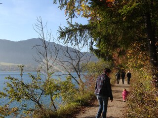 Vakantieappartement Mondsee Omgeving 26