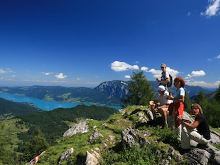 Vakantieappartement Mondsee Omgeving 28