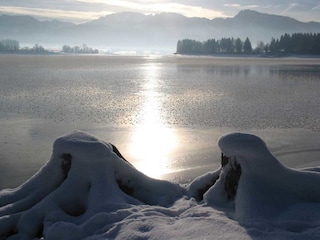 Forggensee im Winter