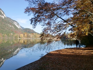 Vakantieappartement Fügenberg Omgeving 17