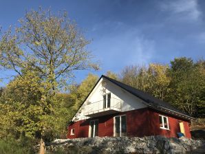 Ferienhaus Himbeerhütte - Brilon - image1