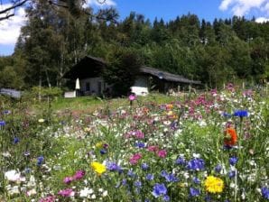 Ferienhaus Waldfee - Brilon - image1