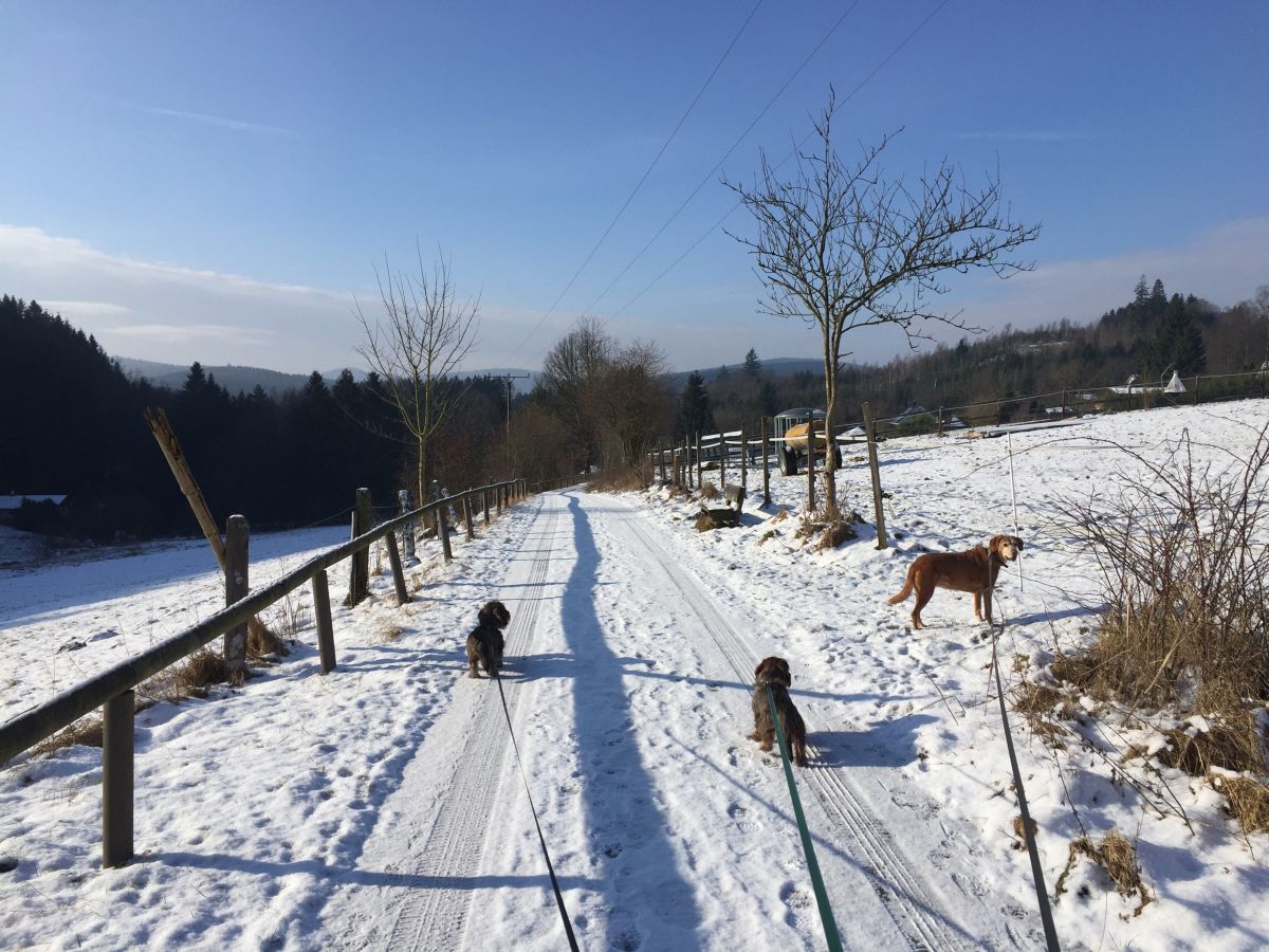 Spazierweg im Winter